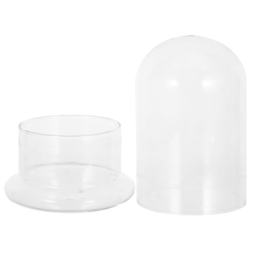 Milisten Hydroponisches Glas-Terrarium Geschlossenes DIY Ökosystem Wasserdichter Pflanzen-Flaschengarten für Moos und Zimmerpflanzen Transparentes Terrarienglas von Milisten