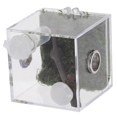 Milisten Kasten Tarantula -fütterungsbox Springspinnen-Terrarium Lebensraum Fall Spinnenfütterungsterrarium Luftbefeuchter Insektenbehälter Spinnenzuchtfall Acryl von Milisten