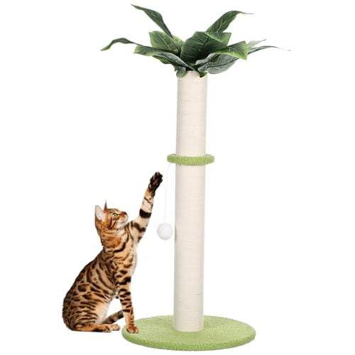 Milisten Cat Scratcher Kratzbaum Für Katzen Mit Spielball Hochwertiger Langlebiger Kratzstamm Aus Strapazierfähigem Material Für Kätzchen Schützt Möbel Und Bietet Spielspaß Milisten Cat Scratcher Kratzbaum Für Katzen Mit Spielball Hochwertiger Langlebiger Kratzstamm Aus Strapazierfähigem Material Für Kätzchen Schützt Möbel Und Bietet Spielspaß von Milisten