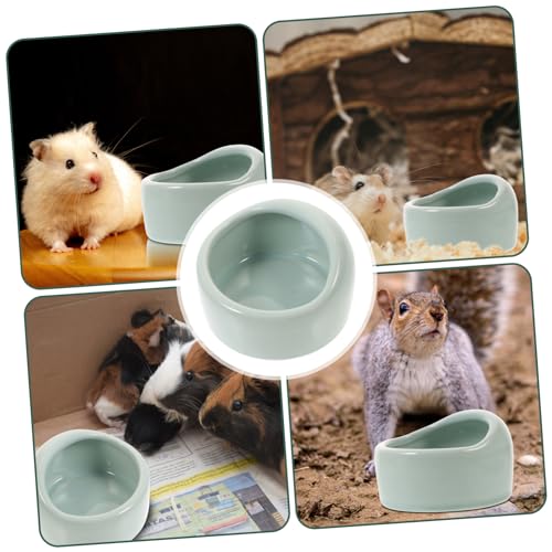 Milisten Keramiknapf für Hamster und Kleintiere Kippsicher Kleines Futterschälchen Geeignet für Trocken und Blaue Haustierschale für Meerschweinchen Rennmäuse Nager Milisten Keramiknapf für Hamster und Kleintiere Kippsicher Kleines Futterschälchen Geeignet für Trocken und Blaue Haustierschale für Meerschweinchen Rennmäuse Nager von Milisten