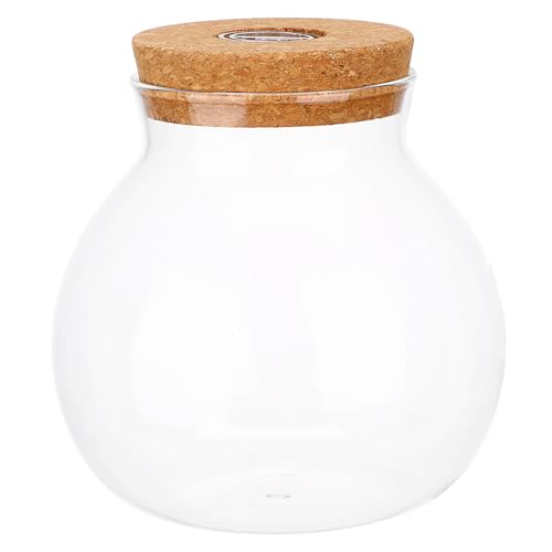 Milisten LED Ökologische Glasflasche mit LED Licht Zylindrisches Fischtank Design für Mikrolandschaften und Aquarien Dekoration für Wohnzimmer Büro Milisten LED Ökologische Glasflasche mit LED Licht Zylindrisches Fischtank Design für Mikrolandschaften und Aquarien Dekoration für Wohnzimmer Büro von Milisten