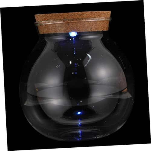Milisten Micro Landscape DIY Flasche Transparentes Terrarium für Pflanzenarrangements für Heimdekoration und Büroaccessoires Hochwertigem mit Glatter Oberfläche von Milisten