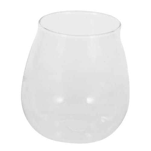 Milisten Mini-Terrarium-Glas Pflanzenvase Für Heimdekoration Glasflasche Landschaftsbehälter von Milisten