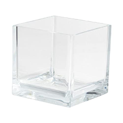 Milisten Aquarium Zubehör Mini-aquarium Baum Luft Panzer Anlage Kleiner Aquariumfilter Conditioner Für Automatisch Futterspender Bausatz Klopfen Tank Blase Wasser Pumpe Schwimmbad Netz Transparent Stk Milisten Aquarium Zubehör Mini-aquarium Baum Luft Panzer Anlage Kleiner Aquariumfilter Conditioner Für Automatisch Futterspender Bausatz Klopfen Tank Blase Wasser Pumpe Schwimmbad Netz Transparent Stk von Milisten