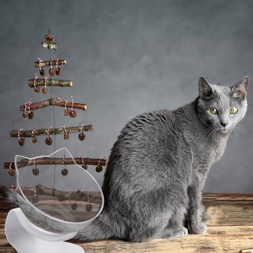 Milisten Neigbarer Futternapf Katze Geneigt Kunststoff mit Nacken Schutz rutschfest und Leicht zu Reinigen als Futterbehälter und Wassernapf für Kätzchen und Katzenhalter Milisten Neigbarer Futternapf Katze Geneigt Kunststoff mit Nacken Schutz rutschfest und Leicht zu Reinigen als Futterbehälter und Wassernapf für Kätzchen und Katzenhalter von Milisten