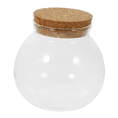 Milisten Glas-Terrarium Mit Korkdeckel Für Mikrolandschaften DIY Pflanzenhalter Für Tischdeko Hydroponik Und Wohnraumgestaltung von Milisten