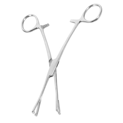 Milisten Pinzette aus Edelstahl Schlangenfänger-Set Pinzettenclip für Aquarien große Pinzette Fütterungspinzette Lange pinzette für Aquarium Aquariumpipette Rostfreier Silber Milisten Pinzette aus Edelstahl Schlangenfänger-Set Pinzettenclip für Aquarien große Pinzette Fütterungspinzette Lange pinzette für Aquarium Aquariumpipette Rostfreier Silber von Milisten