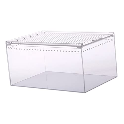 Milisten Reptilien Zuchtbox Transparente Futterbox für Kriechtiere Leicht zu Reinigen Wetterbeständig für Frösche Spinnen und Schlangen von Milisten