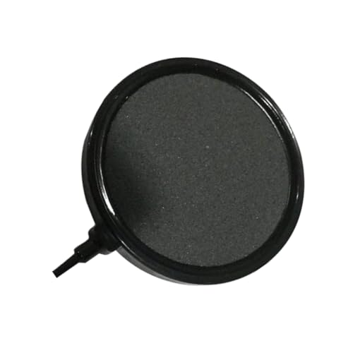 Milisten Fischpumpe Sauerstoffkuchen Blasenscheibe Stein Hydroponische Sauerstoffplatte Aquarium Blase 13cm Dekoratives Zubehör Milisten Fischpumpe Sauerstoffkuchen Blasenscheibe Stein Hydroponische Sauerstoffplatte Aquarium Blase 13cm Dekoratives Zubehör von Milisten