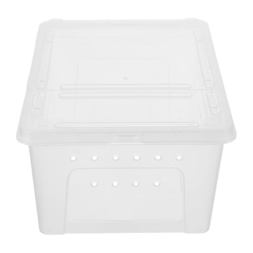 Milisten Reptilien Fütterungsbox Kunststoff Transparente Zuchtbox Für Spinnen Skorpione Geckos Und Frösche Und Fluchtfest Einfach Zu Reinigen Und Langlebig Milisten Reptilien Fütterungsbox Kunststoff Transparente Zuchtbox Für Spinnen Skorpione Geckos Und Frösche Und Fluchtfest Einfach Zu Reinigen Und Langlebig von Milisten