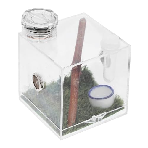 Milisten Kleine Spinnenhabitat Kasten für Springspinnen mit Futteröffnung und LED Licht Transparentes Terrarium für Haustiere 2 Stück Milisten Kleine Spinnenhabitat Kasten für Springspinnen mit Futteröffnung und LED Licht Transparentes Terrarium für Haustiere 2 Stück von Milisten