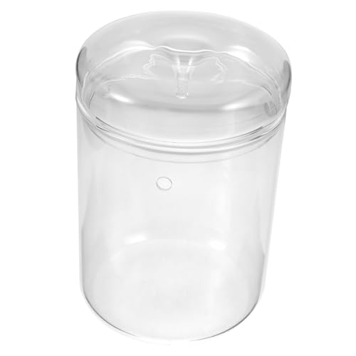 Milisten Terrarienglas-pflanzgefäß Transparente Flasche Für Mikrolandschaften Landschaftsbehälter Tischschmuck Pflanzenflasche DIY-Flasche Mit Moos Terrarium Ökologische Flasche Glasflasche von Milisten