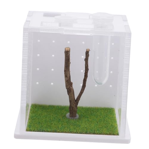 Milisten Terrarium für Springende Spinnen mit Belüftung Transparente Zuchtbox für Insekten und Reptilien Kleines Tragbares Habitat für Springende Spinnen und Futtertiere Klares von Milisten