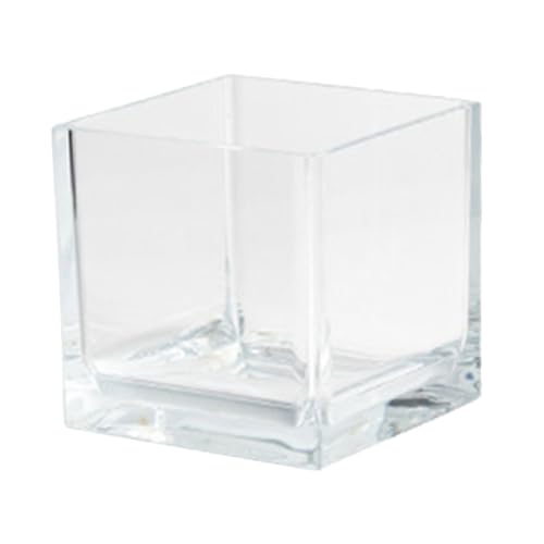 Milisten Transparenter Mini Aquarium Würfelform Pc Bruchsicherer Goldfisch und Betta Fischbehälter Vielseitiger Klarer Fischbehälter für Wohnraumdekoration und von Milisten