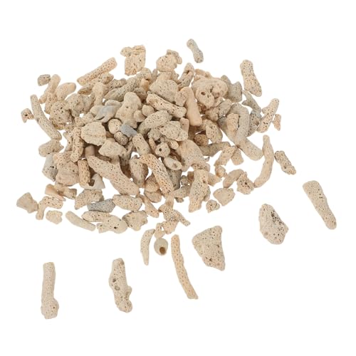 Milisten Zerkleinerte Korallensteine für Aquarien Deko Elemente und Filtermaterial für Fischbehälter zur Verbesserung Wasserqualität und Schaffung Eines Optimalen Lebensraums für Fische Milisten Zerkleinerte Korallensteine für Aquarien Deko Elemente und Filtermaterial für Fischbehälter zur Verbesserung Wasserqualität und Schaffung Eines Optimalen Lebensraums für Fische von Milisten