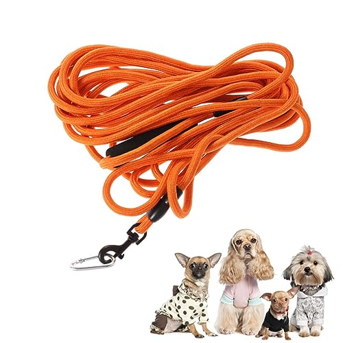Milisten Zugseil Für Haustiere Trainingsspaziergang Hundeseil Hundezugseil Haustiere Hundeleinen Hundegurt Haltegurt Haustierzuggurt Hundezuggurt Haustierzubehör Orange Milisten Zugseil Für Haustiere Trainingsspaziergang Hundeseil Hundezugseil Haustiere Hundeleinen Hundegurt Haltegurt Haustierzuggurt Hundezuggurt Haustierzubehör Orange von Milisten