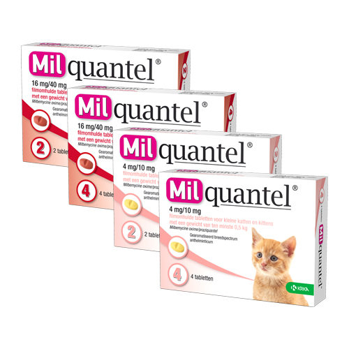 Milquantel große Katze (16 mg) - 4 Tabletten von Milquantel