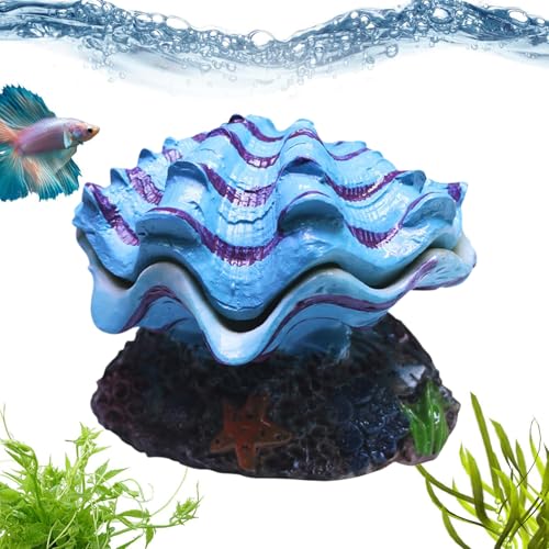 Mimoqk Aquariumhöhle, Muschel-Aquarium-Lebensraum-Dekoration, künstlicher Unterschlupf für Ecktanks Terrarium, Süßwasser, Salzwasser, Zuhause, Schule, Schlafzimmer, Wohnzimmer von Mimoqk