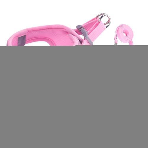 Mimoqk Ausbruchssicheres Katzengeschirr, Weiches Reflektierendes Mesh Geschirr Und Leine, Größen S M L Für Wanderungen Training Reisen Outdoor von Mimoqk