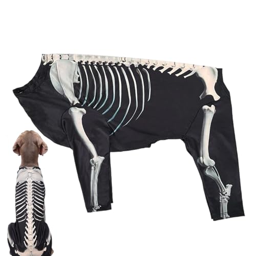Mimoqk Halloween Kostüme Für Hunde - Skelett-Anzug | Haustier Halloween Bodysuit Für Feste Fotos Feiertage Cosplay Mimoqk Halloween Kostüme Für Hunde - Skelett-Anzug | Haustier Halloween Bodysuit Für Feste Fotos Feiertage Cosplay von Mimoqk