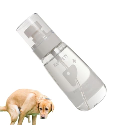 Mimoqk Hier Sie hier, Trainingsspray im Töpfchen, Trainingsspray für Hunde | 100 ml Peetrant-Spray | Verhalten und Hilfe im Haus für den Innenbereich Mimoqk Hier Sie hier, Trainingsspray im Töpfchen, Trainingsspray für Hunde | 100 ml Peetrant-Spray | Verhalten und Hilfe im Haus für den Innenbereich von Mimoqk