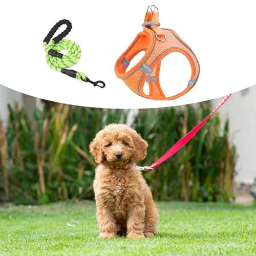Mimoqk Hundegeschirr Mit Leinen,Reflektierend Würgefrei Sicherheitsgeschirr - Atmungsaktives Reflektierendes Welpen Katzen Geschirr Für Training Auto Reisen Wandern Mimoqk Hundegeschirr Mit Leinen,Reflektierend Würgefrei Sicherheitsgeschirr - Atmungsaktives Reflektierendes Welpen Katzen Geschirr Für Training Auto Reisen Wandern von Mimoqk