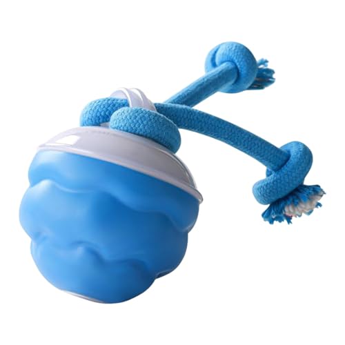 Mimoqk Interactive Dog Ball, Touch Motion Activated Toy, USB Rechargeable Squeaky Ball, Smart Rolling Design, Engaging Play for Puppies, Small and Medium Dogs, Indoor Outdoor Fun Mimoqk Interactive Dog Ball, Touch Motion Activated Toy, USB Rechargeable Squeaky Ball, Smart Rolling Design, Engaging Play for Puppies, Small and Medium Dogs, Indoor Outdoor Fun von Mimoqk
