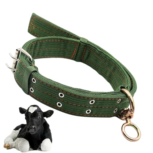 Mimoqk Kuh Halsband,Schaf Halsband - Kleintier Kuh Zuggeschirr Für Weidehaltung Training Zucht Transport Mimoqk Kuh Halsband,Schaf Halsband - Kleintier Kuh Zuggeschirr Für Weidehaltung Training Zucht Transport von Mimoqk