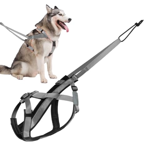 Mimoqk Schlittenhund Geschirr | Reflektierendes Laufgeschirr Für Hunde | Verstellbares Gurtzeug Für Training Skaten Outdoor Aktivitäten Mimoqk Schlittenhund Geschirr | Reflektierendes Laufgeschirr Für Hunde | Verstellbares Gurtzeug Für Training Skaten Outdoor Aktivitäten von Mimoqk