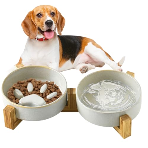 Mimoqk Slow Feeder Hundefutter Näpfe, Niedliches Pfotenabdruck Keramik Hundeessen Und Wassernapf Set, Futternapf Und Trinknapf Zuhause Garten Camping Mimoqk Slow Feeder Hundefutter Näpfe, Niedliches Pfotenabdruck Keramik Hundeessen Und Wassernapf Set, Futternapf Und Trinknapf Zuhause Garten Camping von Mimoqk