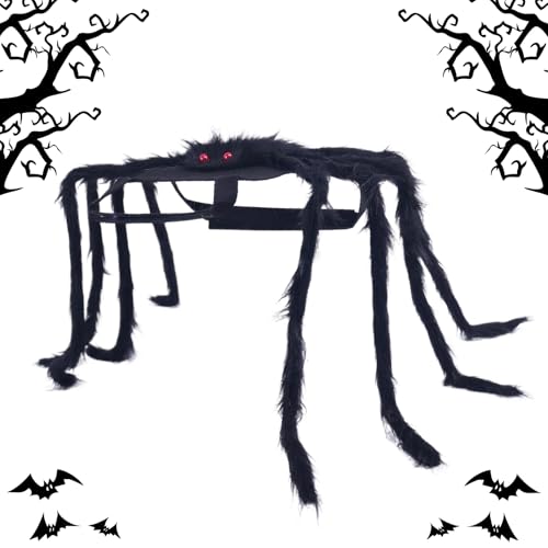 Mimoqk Spinnen-Kostüm für Haustiere – Halloween-Kostüm für kleine Hunde, Kleidung und Zubehör für Cosplay, für Haustiere, für Partys, Veranstaltungen, Festivals, Feiern Mimoqk Spinnen-Kostüm für Haustiere – Halloween-Kostüm für kleine Hunde, Kleidung und Zubehör für Cosplay, für Haustiere, für Partys, Veranstaltungen, Festivals, Feiern von Mimoqk