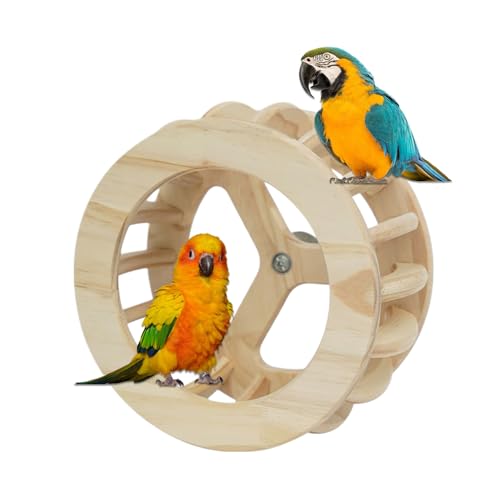 Mimoqk Vogelsitzstangen, Drehbarer Spielzeug Vogel Holz Sitzstand, Interaktive Spielstange Für Haustiere Wie Kanarienvogel Lovebird Taube Conure Sittich Zuhause von Mimoqk