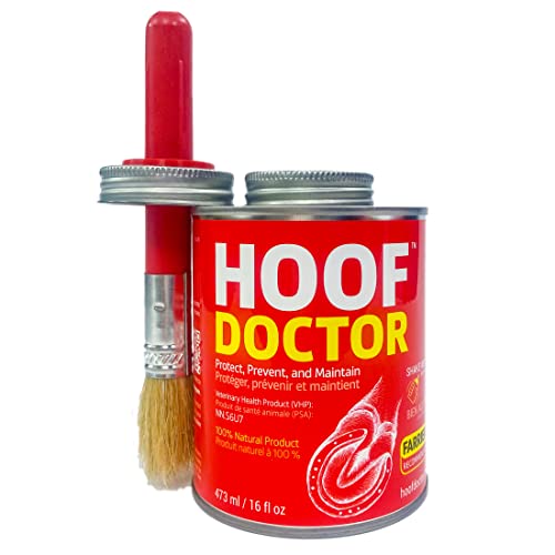 Hoof Doctor - White Line | Thrush | Abscesses | Quarter Crack | Seedy Toe | Sole Bruises - 100% All-Natural Hoof Care Product - Birch Bark Extract, Betulin, Omega-3 with Vits A & D (473 ml) von Mineral Medix