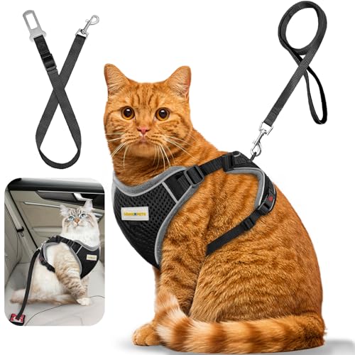 MingXpets Katzengeschirr und Leine, einziehbar, weich, ausbruchsicher, atmungsaktiv, für Reisen, Training und Spazierengehen, schwarz, Größe S MingXpets Katzengeschirr und Leine, einziehbar, weich, ausbruchsicher, atmungsaktiv, für Reisen, Training und Spazierengehen, schwarz, Größe S von MingXpets