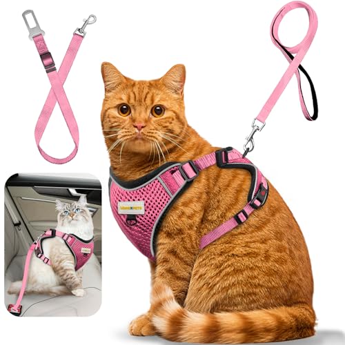 MingXpets Katzengeschirr und Leine, verstellbare, weiche Katzenweste verhindert das Entkommen, atmungsaktiv, reflektierende Streifen, Geschirr für Katzen, einfach zu transportierendes Leinen-Set für MingXpets Katzengeschirr und Leine, verstellbare, weiche Katzenweste verhindert das Entkommen, atmungsaktiv, reflektierende Streifen, Geschirr für Katzen, einfach zu transportierendes Leinen-Set für von MingXpets