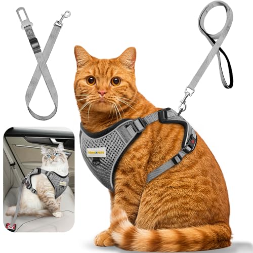 MingXpets Katzengeschirr und Leine zum Spazierengehen, einziehbares Katzengeschirr und Leine, ausbruchsicher, atmungsaktiv, weich, für Kätzchen, klein, groß, für Reisen, Training und Spazierengehen MingXpets Katzengeschirr und Leine zum Spazierengehen, einziehbares Katzengeschirr und Leine, ausbruchsicher, atmungsaktiv, weich, für Kätzchen, klein, groß, für Reisen, Training und Spazierengehen von MingXpets