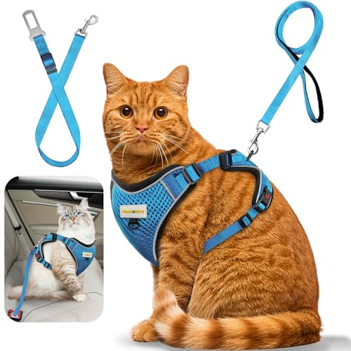 MingXpets Katzengeschirr und Leine zum Spazierengehen, einziehbares Katzengeschirr und Leine, ausbruchsicher, atmungsaktiv, weich, für Kätzchen, klein, groß, für Reisen, Training und Spazierengehen MingXpets Katzengeschirr und Leine zum Spazierengehen, einziehbares Katzengeschirr und Leine, ausbruchsicher, atmungsaktiv, weich, für Kätzchen, klein, groß, für Reisen, Training und Spazierengehen von MingXpets