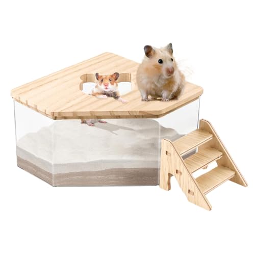 Haustier Hamster Badezimmer Mit Leiter - Hamster Toilette Sandbad Container Toilette Transparente Hamster Badebox Haustier Badewanne Hamster Sandbad Badezimmer Für Rennmäuse Gerbil Kleintiere Haustier Hamster Badezimmer Mit Leiter - Hamster Toilette Sandbad Container Toilette Transparente Hamster Badebox Haustier Badewanne Hamster Sandbad Badezimmer Für Rennmäuse Gerbil Kleintiere von Mingchengheng
