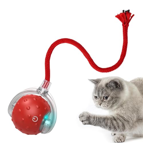 Interaktives Katzenball Spielzeug - Elektrisches Automatisches Katzenspielzeug Für Wohnungskatzen, USB Aufladbar, 360° Rolling Smart Ball Für Katzen Und Hunde, Katzenspielzeug Fü Katzen Und Hunde Interaktives Katzenball Spielzeug - Elektrisches Automatisches Katzenspielzeug Für Wohnungskatzen, USB Aufladbar, 360° Rolling Smart Ball Für Katzen Und Hunde, Katzenspielzeug Fü Katzen Und Hunde von Mingchengheng