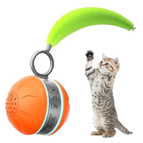 Interaktives Katzenspielzeug, Selbstrollender Katzenspielzeugball, Rollball Bewegliches Hundespielzeug, Automatisches Katzenspielzeug Mit Licht Für Spiele Bewegung Förderung Training Interaktives Katzenspielzeug, Selbstrollender Katzenspielzeugball, Rollball Bewegliches Hundespielzeug, Automatisches Katzenspielzeug Mit Licht Für Spiele Bewegung Förderung Training von Mingchengheng