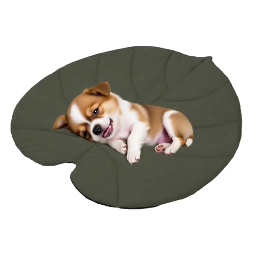 Mingchengheng Haustier Kühlmatte, Blattform Kühldecke Für Katzen, Doppelseitige Isolierte Haustierunterlage für Wohnung Reisen Balkon Schlafzimmer Camping Wohnzimmer Terrasse Mingchengheng Haustier Kühlmatte, Blattform Kühldecke Für Katzen, Doppelseitige Isolierte Haustierunterlage für Wohnung Reisen Balkon Schlafzimmer Camping Wohnzimmer Terrasse von Mingchengheng