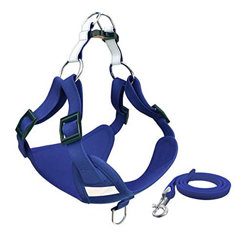 Mingfuxin Hundegeschirr und Leine, strapazierfähig, verstellbar, für kleine und mittelgroße Hunde und Katzen (M, blau) von Mingfuxin