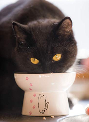 Erhöhte Katzennapf, aus Porzellan, zur Vorbeugung von Rückfließen, Stressfrei, klein bis mittelgroß, Sicherheitswahl für Ihr Haustier, Superior für nasse und trockene Lebensmittel. Erhöhte Katzennapf, aus Porzellan, zur Vorbeugung von Rückfließen, Stressfrei, klein bis mittelgroß, Sicherheitswahl für Ihr Haustier, Superior für nasse und trockene Lebensmittel. von Minibees