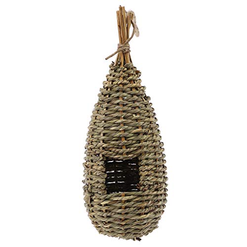 MinnowXY Vogelhaus zum Aufhängen, handgewebt, Gras, freundliches Papageiennest, spitz, Schutz vor kaltem Wetter, 4,1 cm langes Strohseil MinnowXY Vogelhaus zum Aufhängen, handgewebt, Gras, freundliches Papageiennest, spitz, Schutz vor kaltem Wetter, 4,1 cm langes Strohseil von MinnowXY