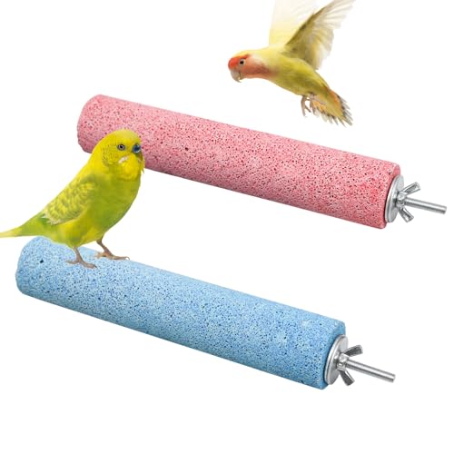 Doppelstrukturierte Vogelsitzstange, 2 Stück, kaubarer Mineralstein & Metallrutenständer für kleine/mittelgroße Vögel, Käfigsitzstangen zum Schnabelschleifen, Krallenschneiden (Blau & Rosa) von MinrzPet
