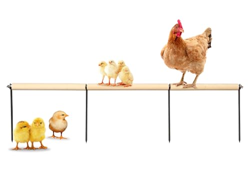 Hühnerstall Zubehör, Extra Lange Holz Huhn Roosting Barsch mit Metallpfähle, Roosting Bars für Hühner im Stall, Hühner Anreicherung Spielzeug Hühnerstall Zubehör, Extra Lange Holz Huhn Roosting Barsch mit Metallpfähle, Roosting Bars für Hühner im Stall, Hühner Anreicherung Spielzeug von MinrzPet
