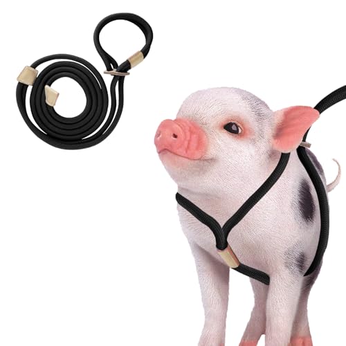 Mini-Schweine-Zubehör, Schweinegeschirr, verstellbare 2,4 m lange Leine für kleine bis mittelgroße Haustiere, Schweine-Zubehör von MinrzPet