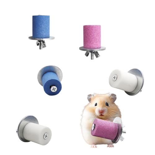 MinrzPet 6 Pack Hamsterspielzeug, mattierter Stein für Zähne und Krallen, Hamster-Kauspielzeug für Zähne, Käfigzubehör für Hamster, Ratten, Chinchilla und andere Kleintiere MinrzPet 6 Pack Hamsterspielzeug, mattierter Stein für Zähne und Krallen, Hamster-Kauspielzeug für Zähne, Käfigzubehör für Hamster, Ratten, Chinchilla und andere Kleintiere von MinrzPet