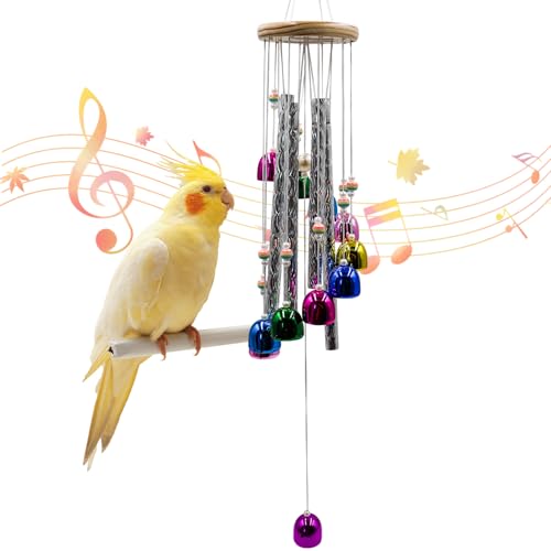Sittichspielzeug mit bunten Glocken und leuchtenden Stäbchen, Vogelkäfig-Zubehör, Windspiel zum Kauen, Kauspielzeug für Graupapageien, Wellensittiche, Nymphensittiche, Lovebirds, Conures, Quäker von MinrzPet