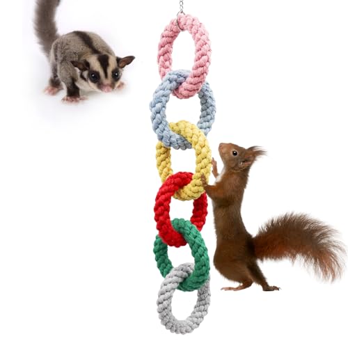 Sugar Glider Spielzeug, Hängender Baumwollseilring Kletterspielzeug für kleine Haustiere, Rattenspielzeug, Zuckergleitkäfig Zubehör, Übungsspielzeug für Zuckergleiter, Ratte, Eichhörnchen, Vogel Sugar Glider Spielzeug, Hängender Baumwollseilring Kletterspielzeug für kleine Haustiere, Rattenspielzeug, Zuckergleitkäfig Zubehör, Übungsspielzeug für Zuckergleiter, Ratte, Eichhörnchen, Vogel von MinrzPet